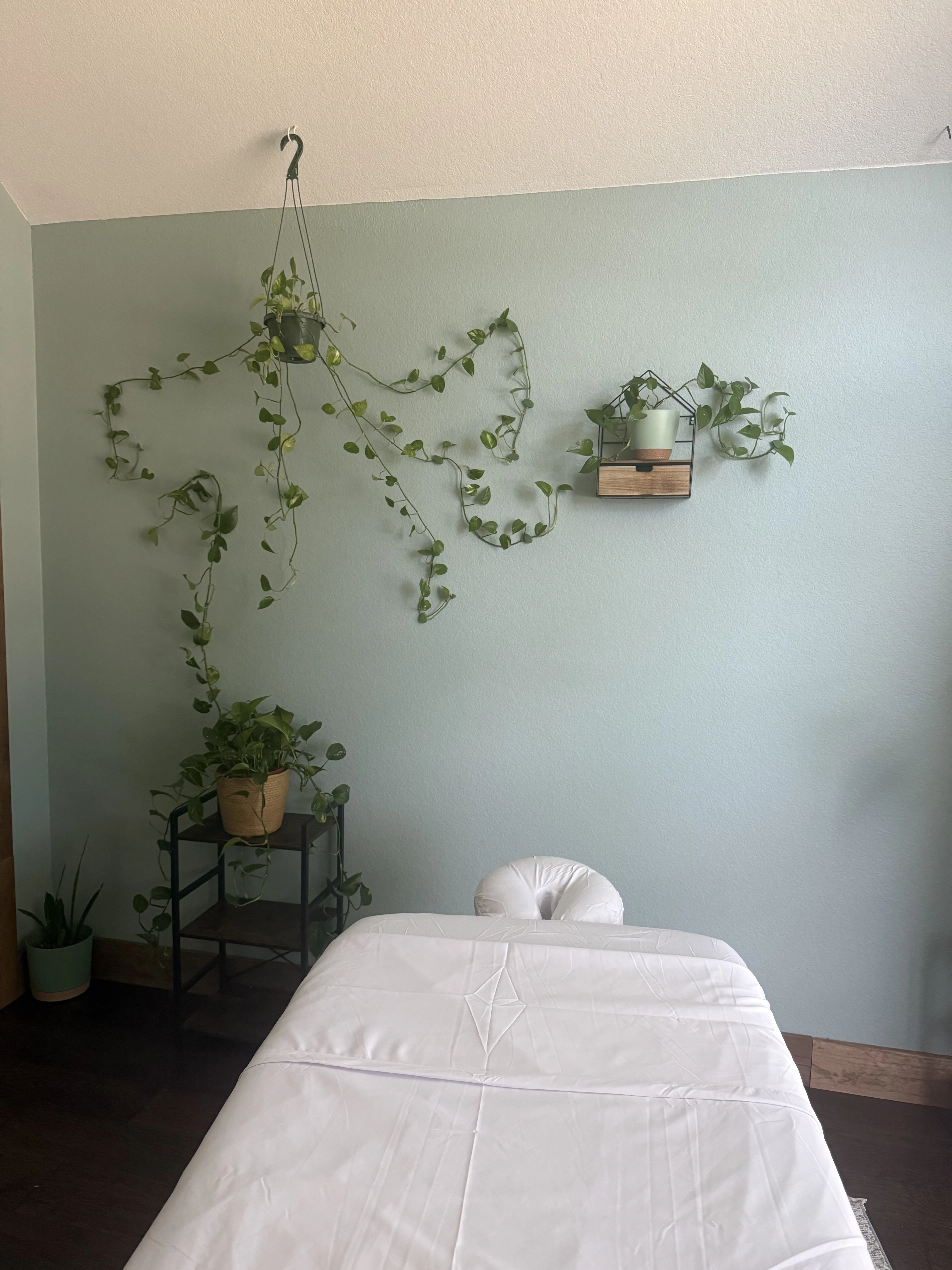 Inside the Kitsune Healing studio in New Braunfels, Texas